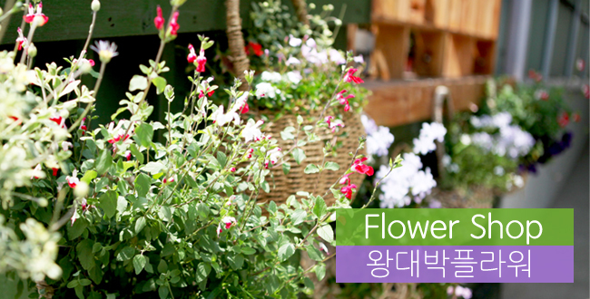 �Ұ��̹���