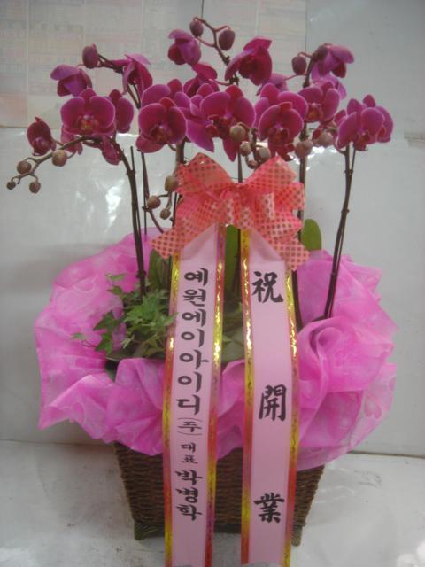 ںд ֹԴϴ