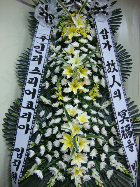 ͽǾ ڸֹԴϴ