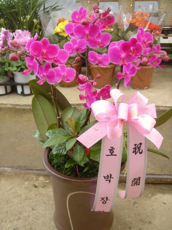 迵̴ ֹԴϴ