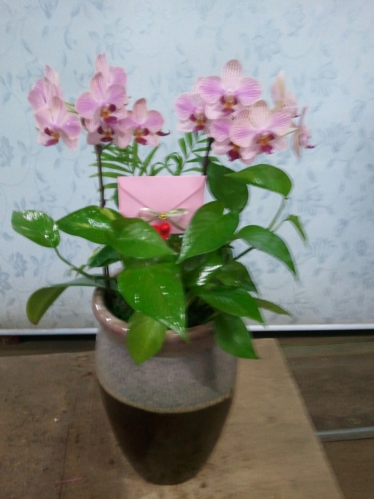 輺 ֹԴϴ