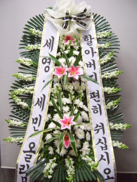 뼼 ֹԴϴ
