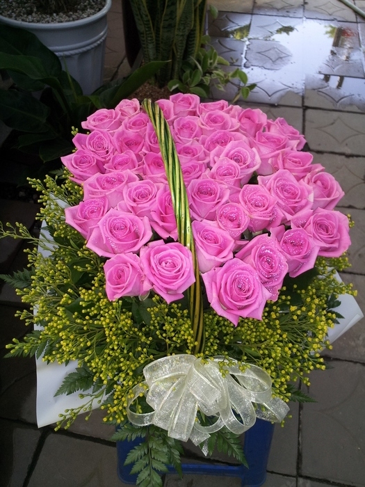ڱ ֹԴϴ