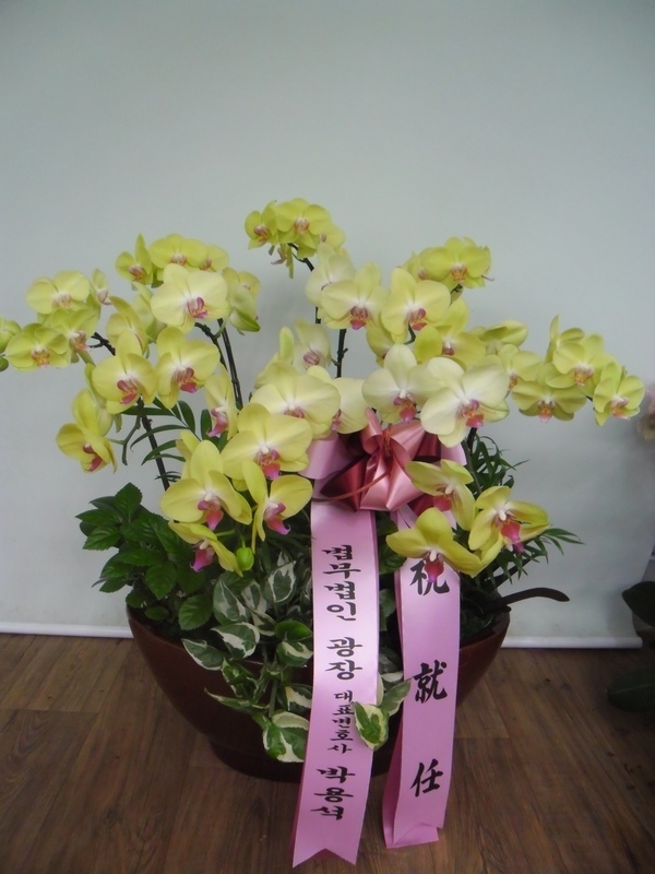 ڿ뼮 ֹԴϴ