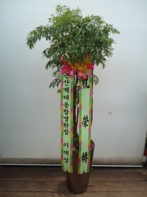 缺 ֹԴϴ