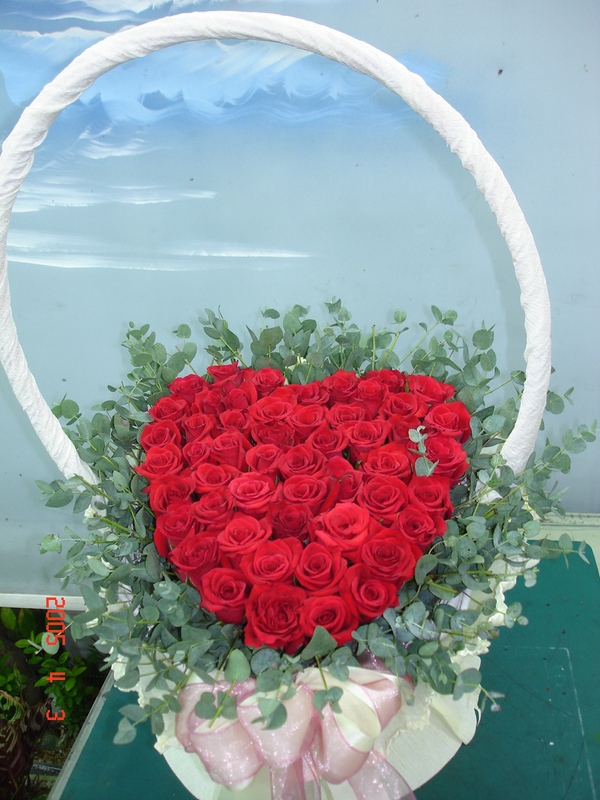 ڰ ֹϽŻǰԴϴ