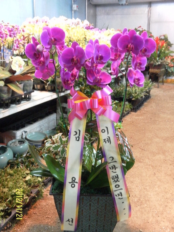 뼱 ֹԴϴ