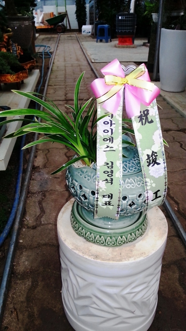 迵 ֹԴϴ