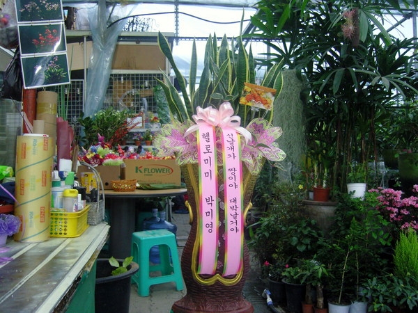 ڹ̿ ֹԴϴ