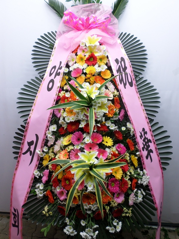 迵ִ ֹԴϴ