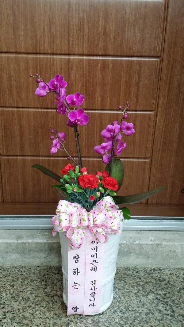輭 ֹϽŻǰԴϴ