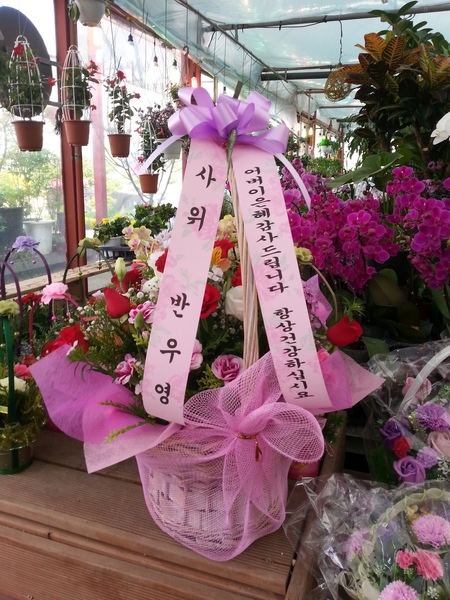 ݿ쿵 ֹԴϴ