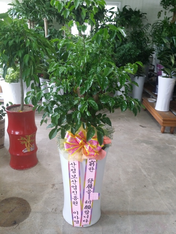 ̻翵 ֹԴϴ