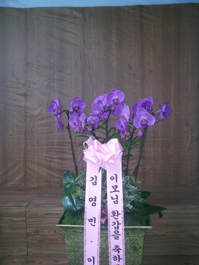 񿵴 ֹԴϴ