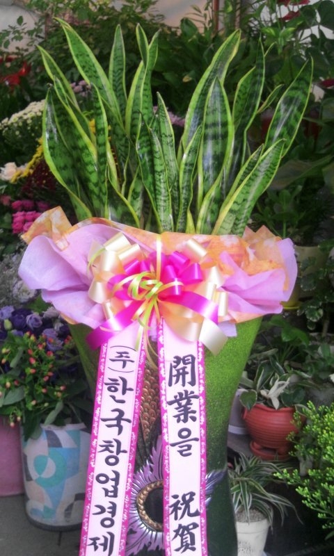  ŻǰԴϴ