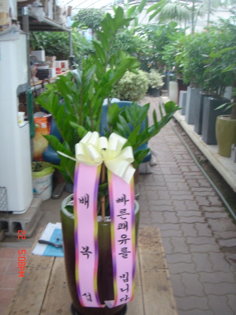 躹 ֹԴϴ
