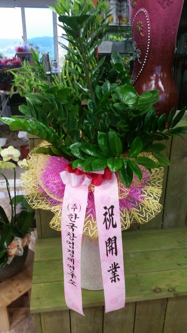  ŻǰԴϴ
