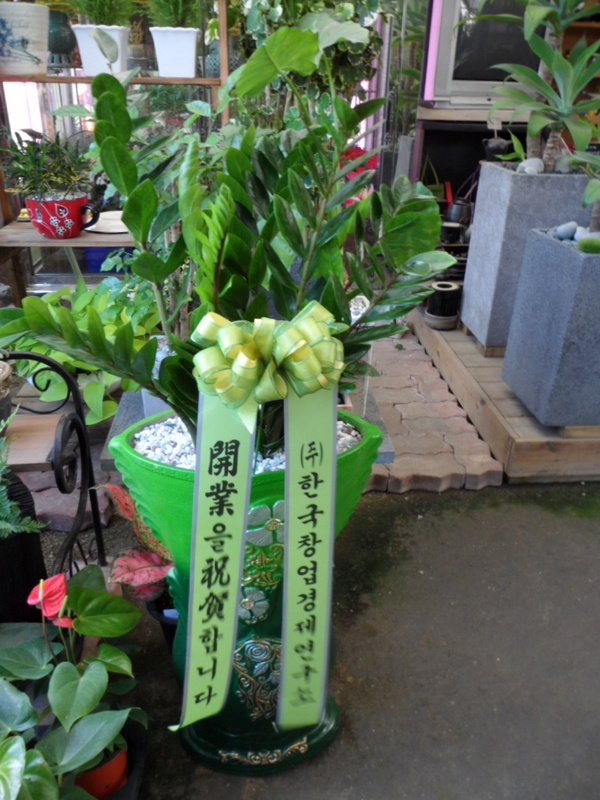 ڼ ŻǰԴϴ
