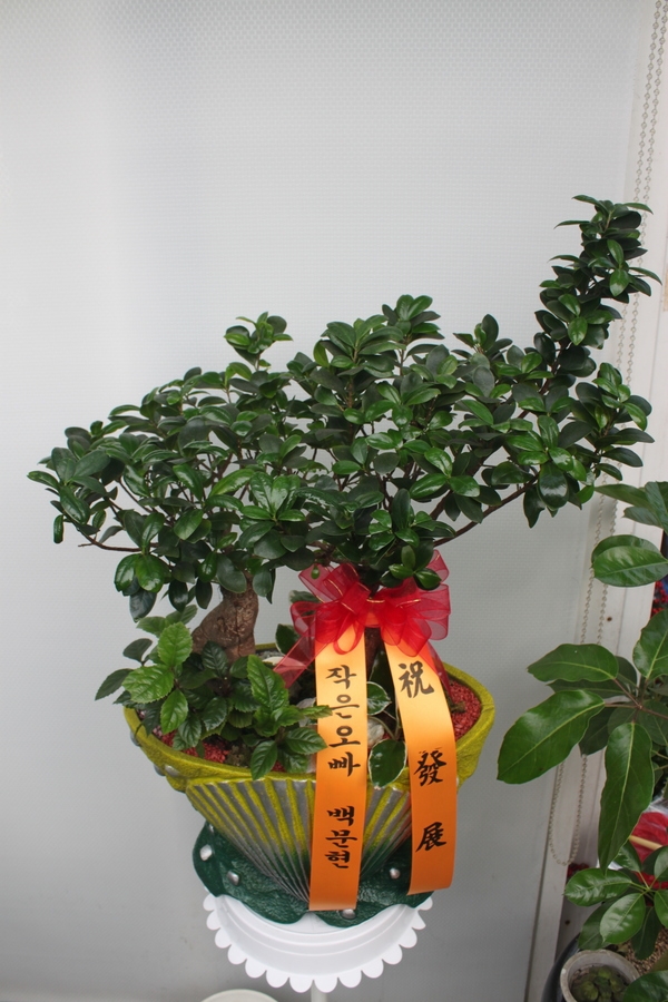 鹮 ֹԴϴ