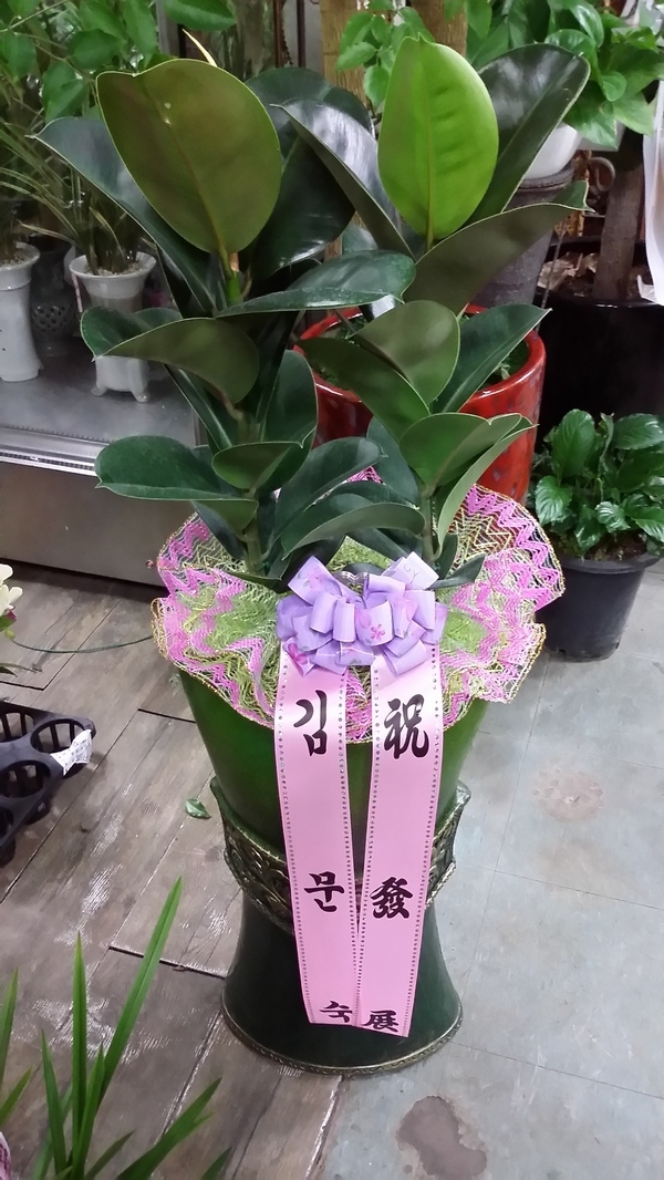 蹮 ֹԴϴ