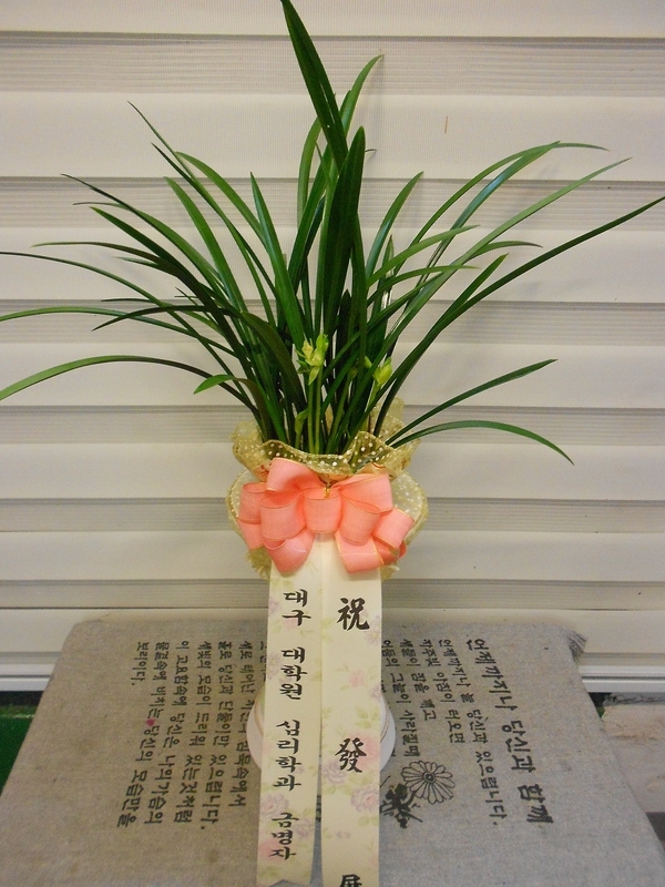 赿ȯ ֹԴϴ