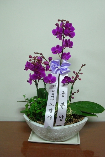 뿵 ֹԴϴ