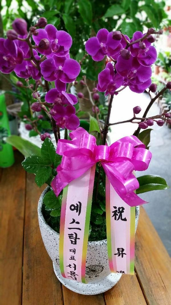 뼷 ֹԴϴ