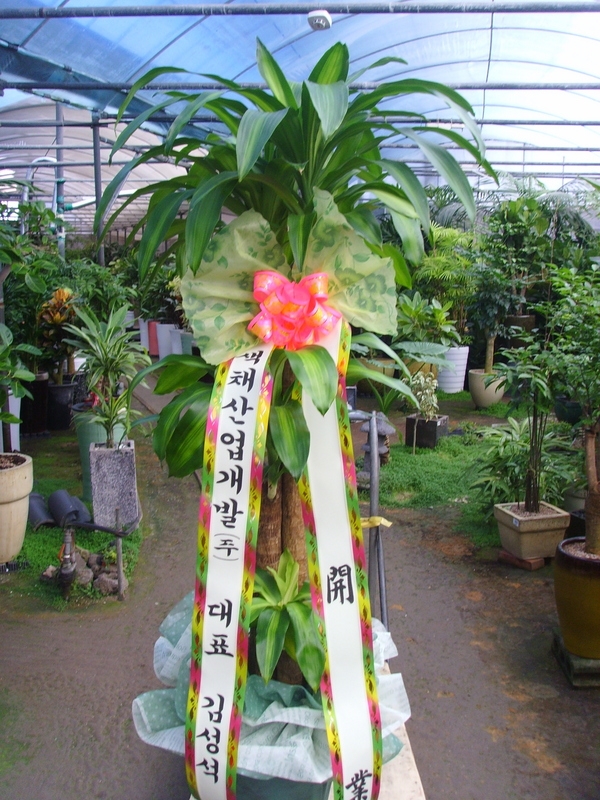 輺 ֹԴϴ