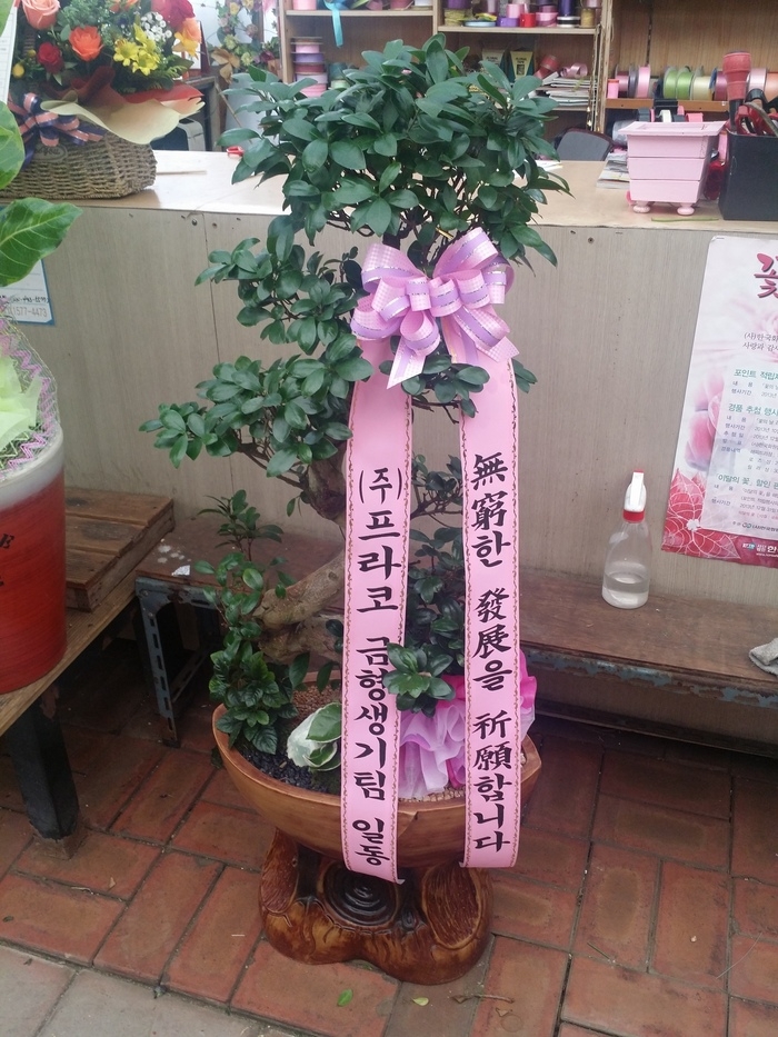谭ϴ ŻǰԴϴ