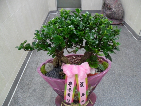 輼 ֹԴϴ