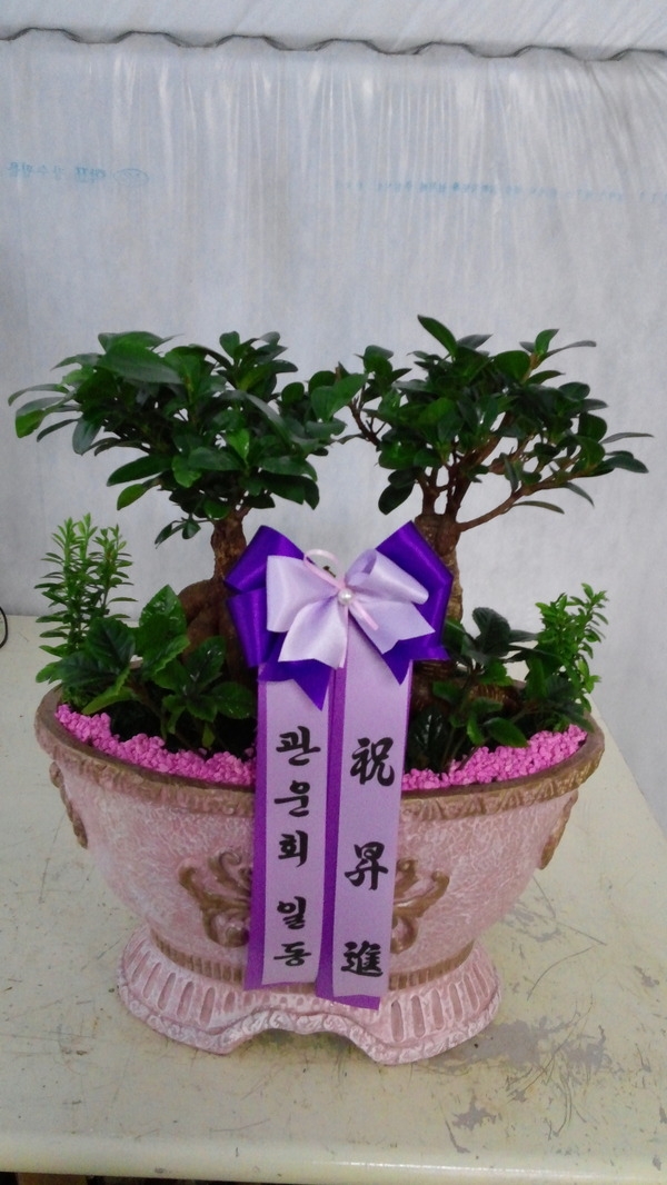 輼 ֹԴϴ