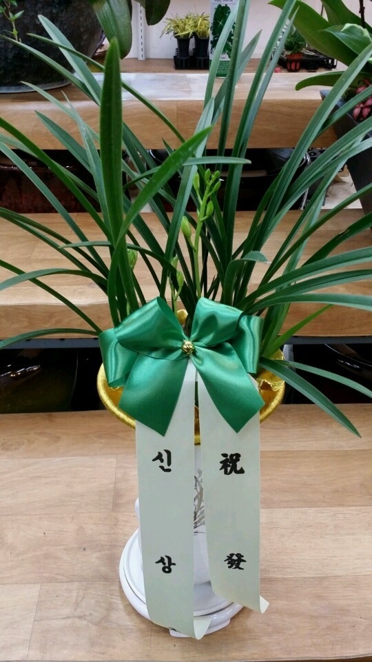 ŻԴ ֹԴϴ