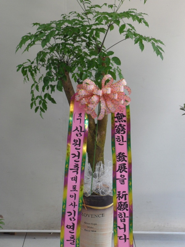 迬 ֹԴϴ