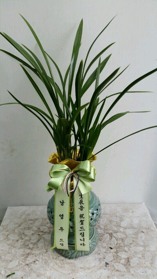 簢 ŻǰԴϴ