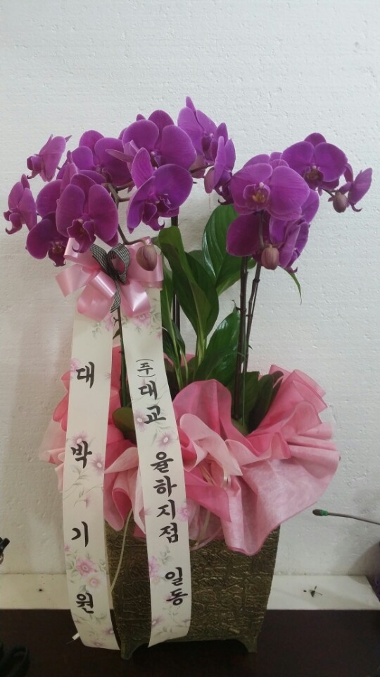 뱳 ֹԴϴ
