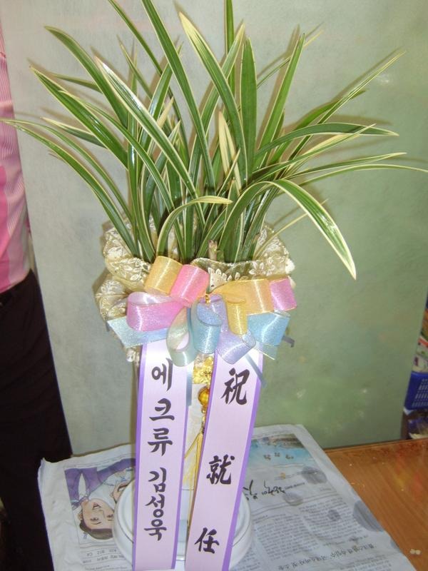 賲 ֹԴϴ