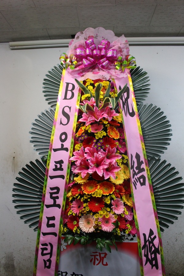 bs ֹԴϴ