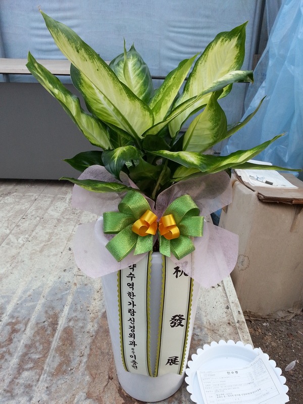 Ӵ ŻǰԴϴ