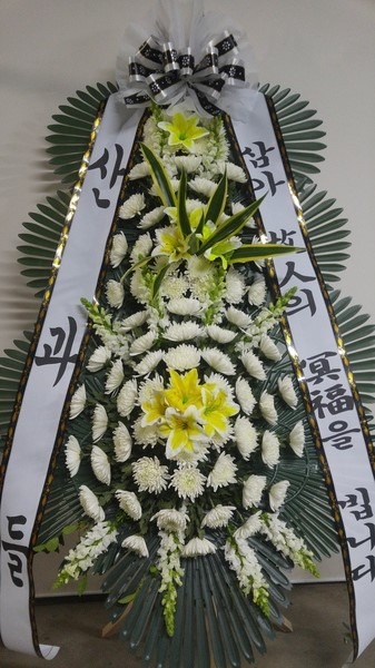 缺 ŻǰԴϴ