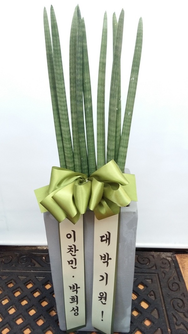 񼺴 ֹԴϴ