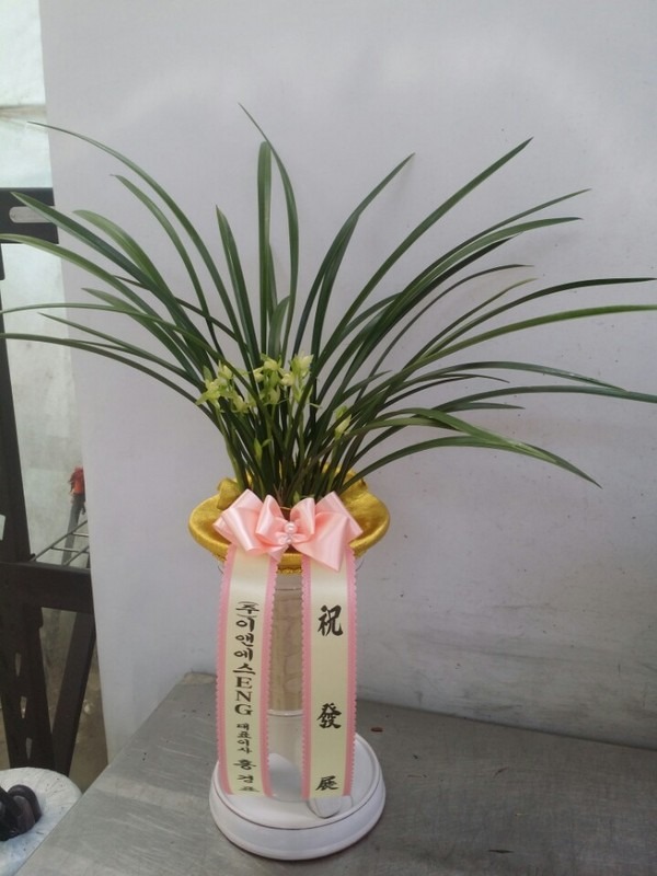 ȫǥ ֹԴϴ