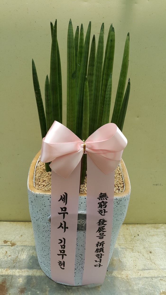 蹫 ֹԴϴ