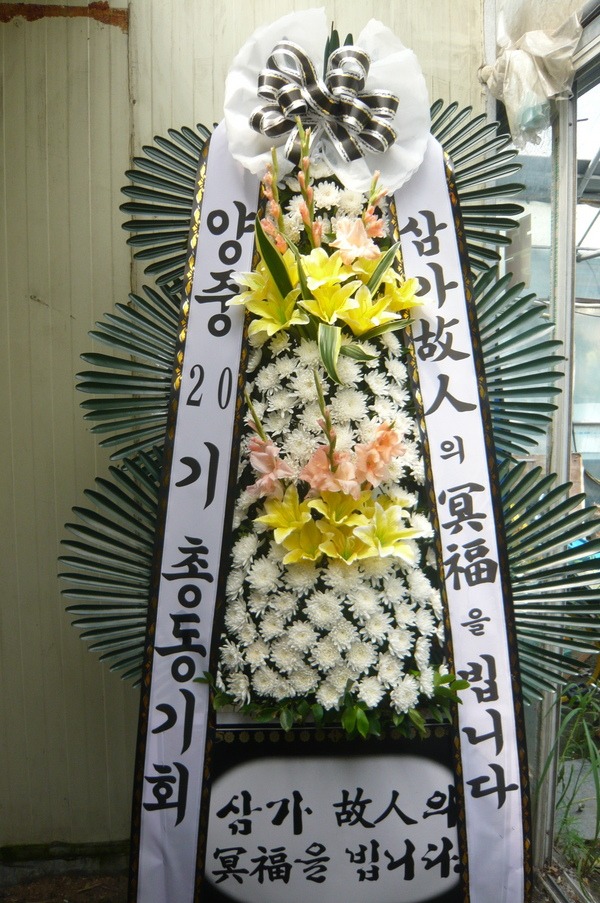 񿵴 ֹԴϴ