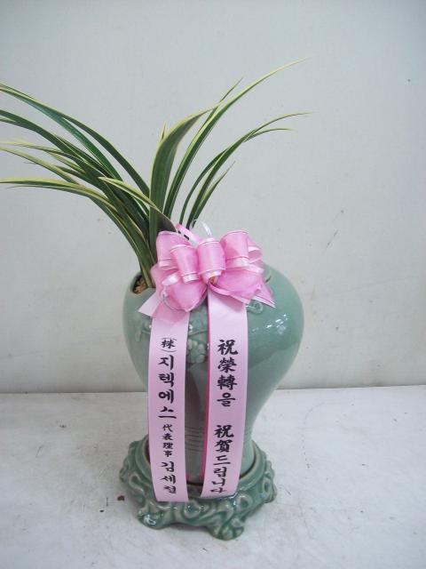 輼ö ֹԴϴ